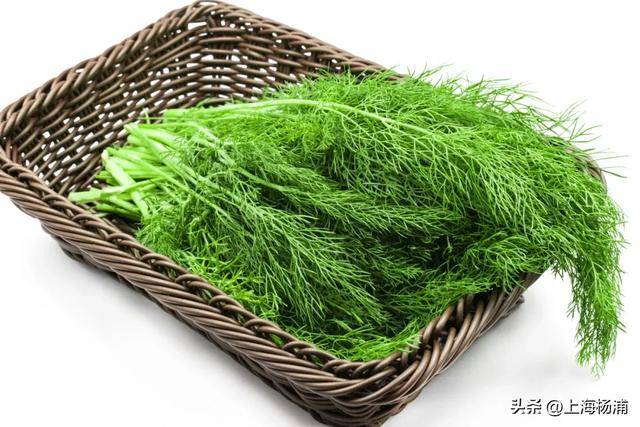 調(diào)味料也是“藥”！用對了美味又保健<strong></p>
<p>調(diào)味料</strong>，可以多吃一點！:調(diào)味料